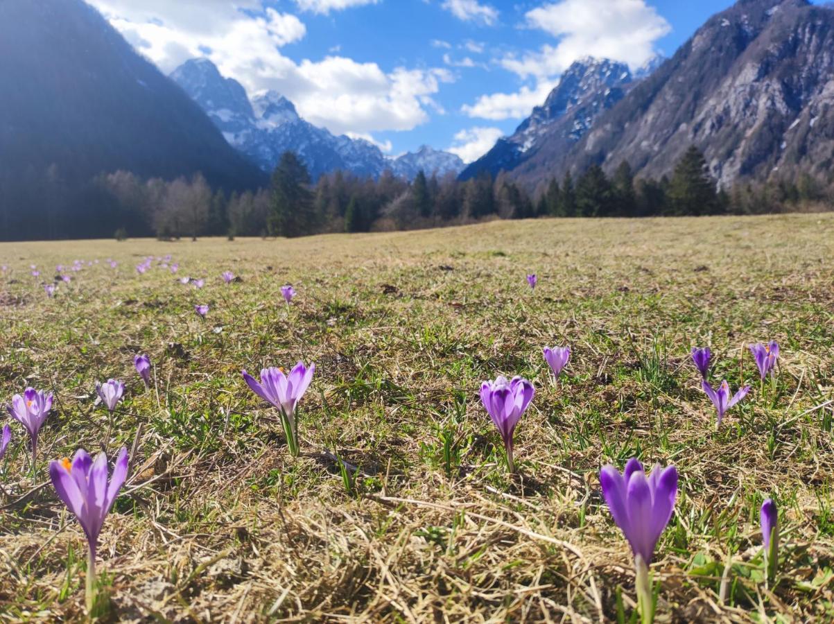 Turisticna Kmetija Psnak Apartamento Mojstrana Exterior foto