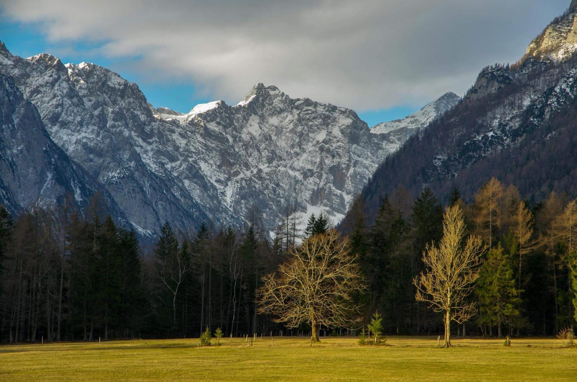 Turisticna Kmetija Psnak Apartamento Mojstrana Exterior foto