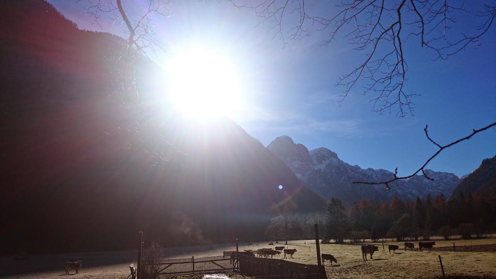 Turisticna Kmetija Psnak Apartamento Mojstrana Exterior foto