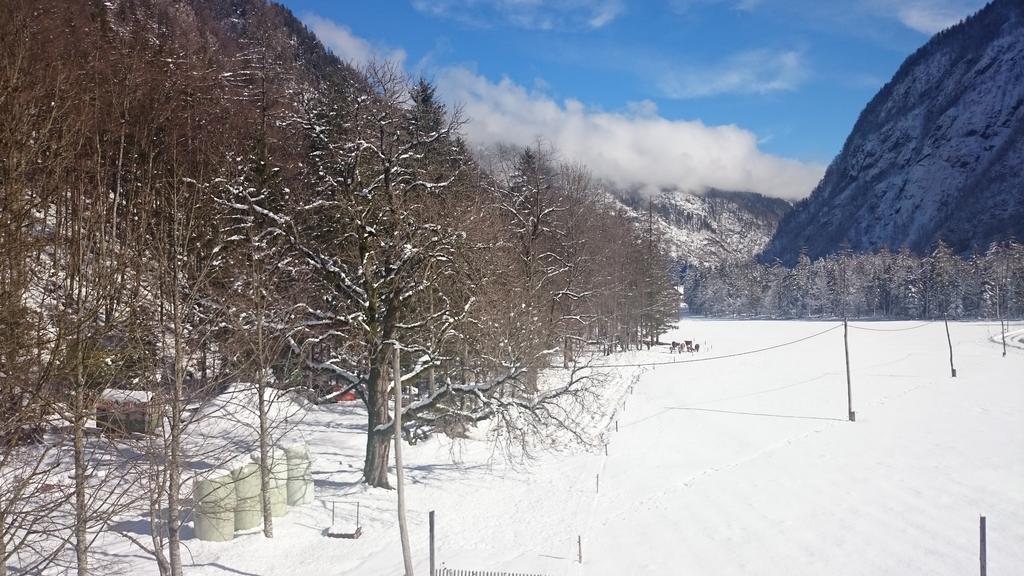 Turisticna Kmetija Psnak Apartamento Mojstrana Exterior foto