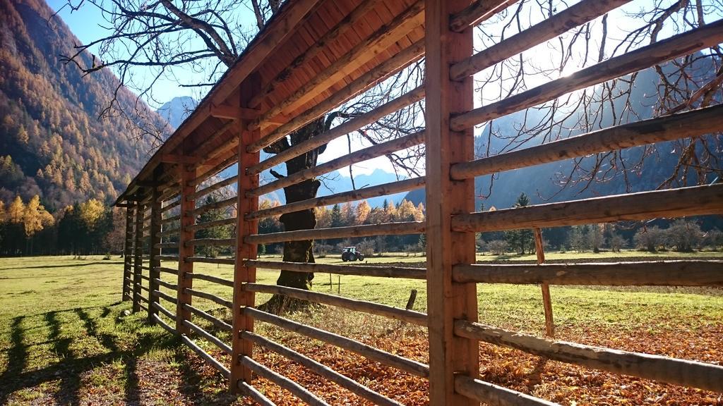 Turisticna Kmetija Psnak Apartamento Mojstrana Exterior foto