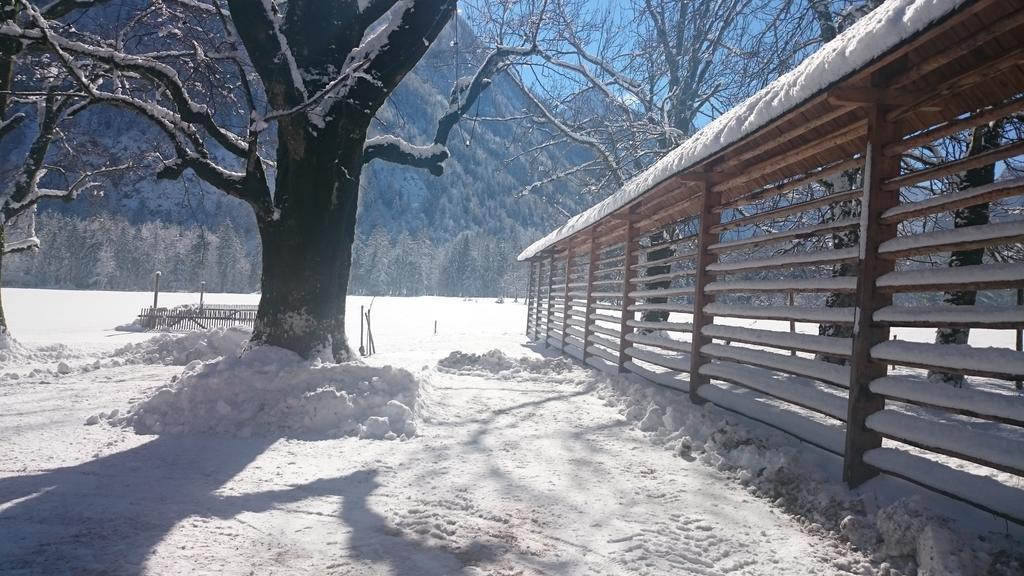 Turisticna Kmetija Psnak Apartamento Mojstrana Exterior foto