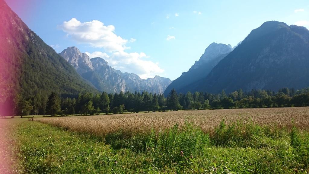 Turisticna Kmetija Psnak Apartamento Mojstrana Exterior foto