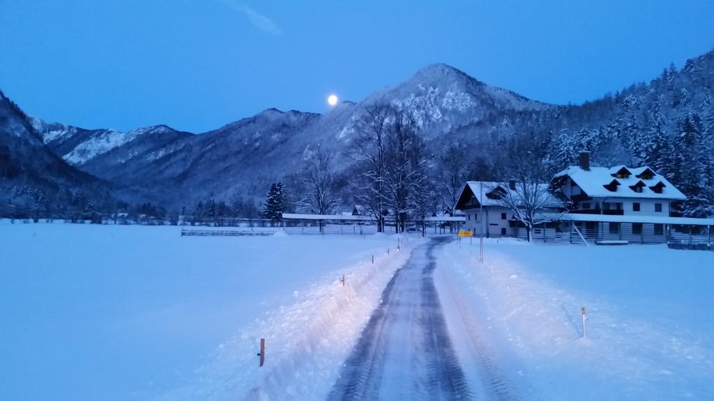 Turisticna Kmetija Psnak Apartamento Mojstrana Exterior foto