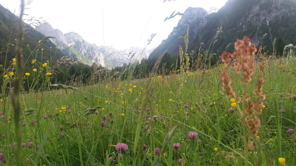 Turisticna Kmetija Psnak Apartamento Mojstrana Exterior foto