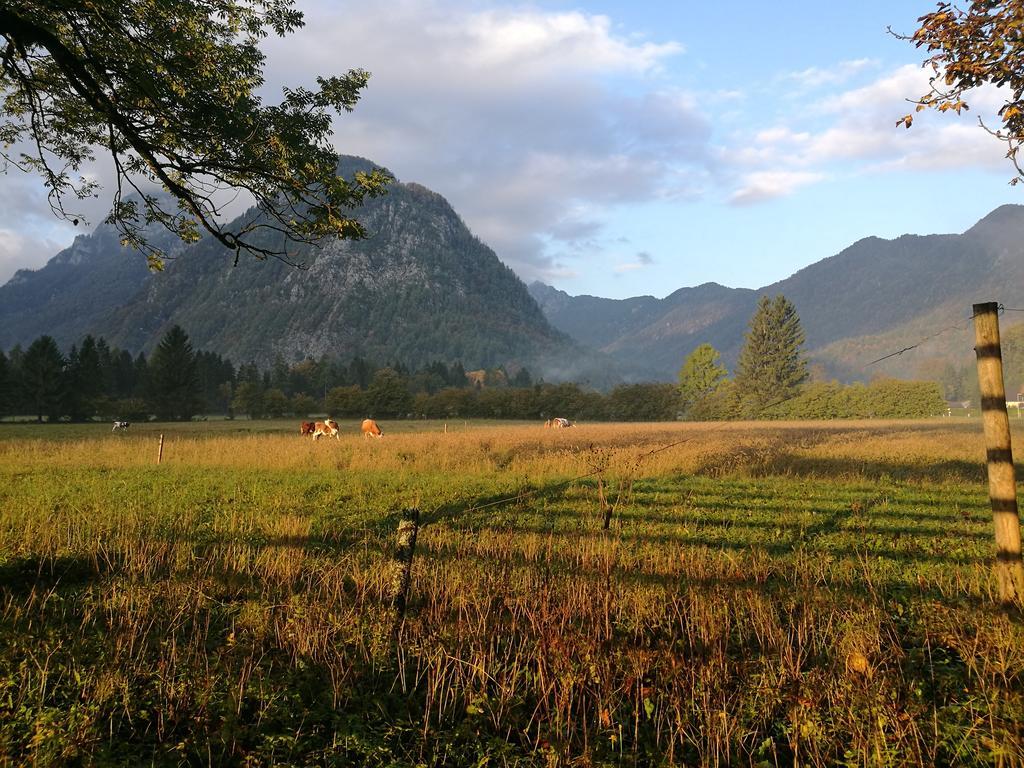 Turisticna Kmetija Psnak Apartamento Mojstrana Exterior foto