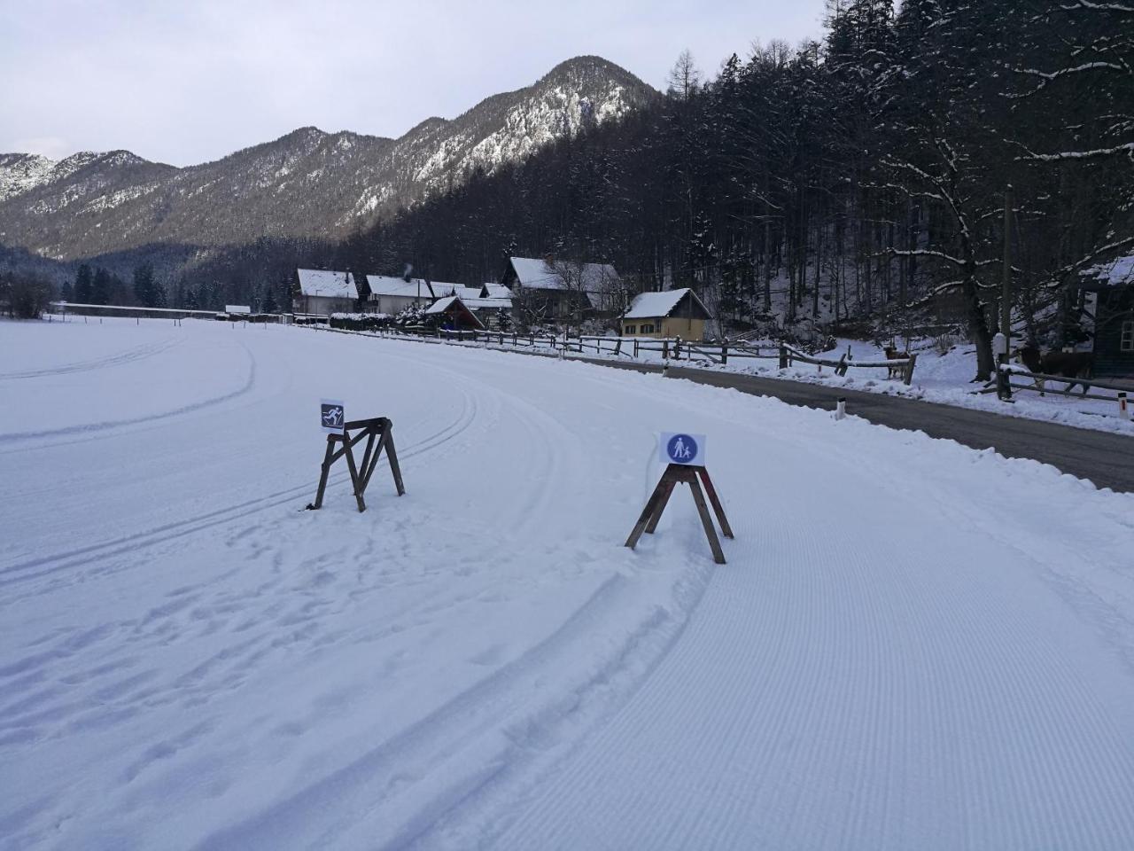 Turisticna Kmetija Psnak Apartamento Mojstrana Exterior foto