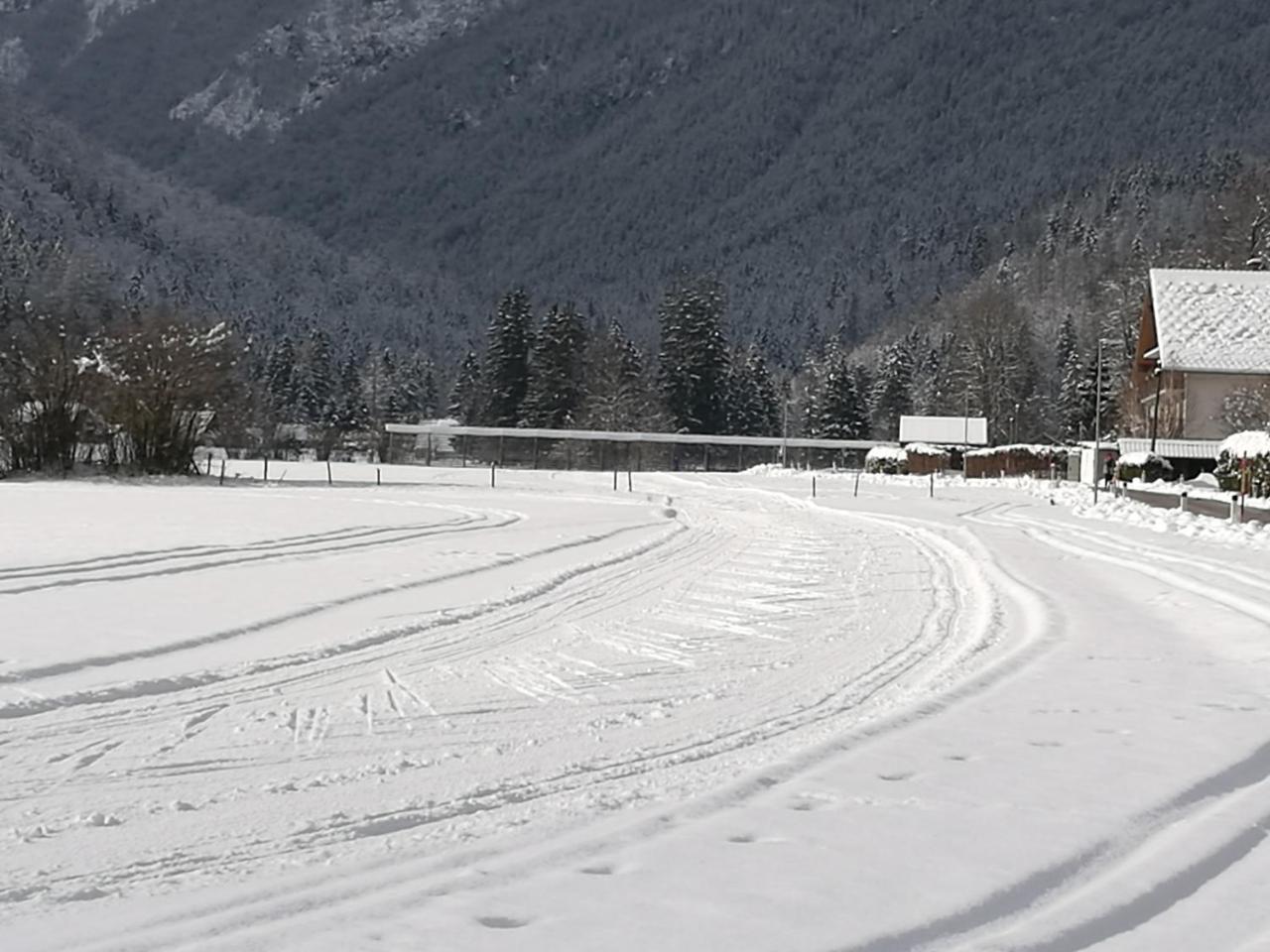 Turisticna Kmetija Psnak Apartamento Mojstrana Exterior foto